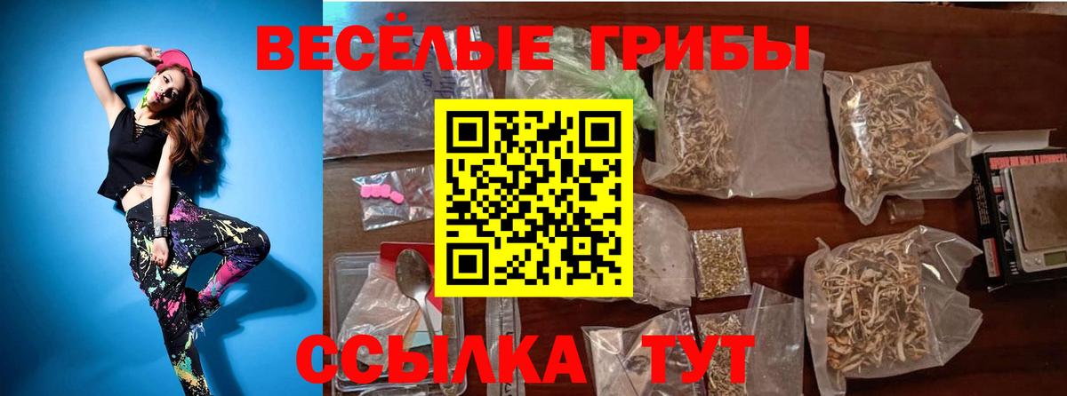 Галлюциногенные грибы мухоморы  Вход с VPN  купить  цена  Геленджик 